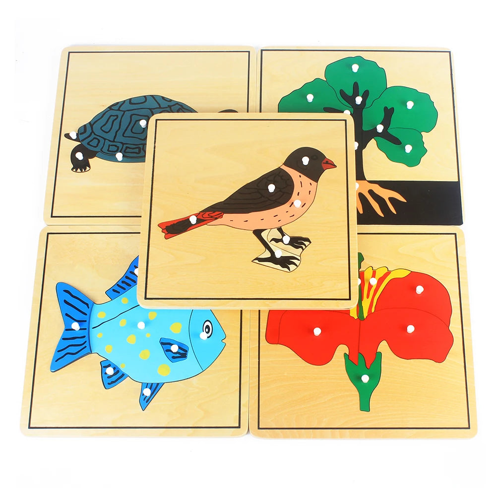 Montessori Wooden Life Cycle Puzzle – Plants & Animals Educational Toy