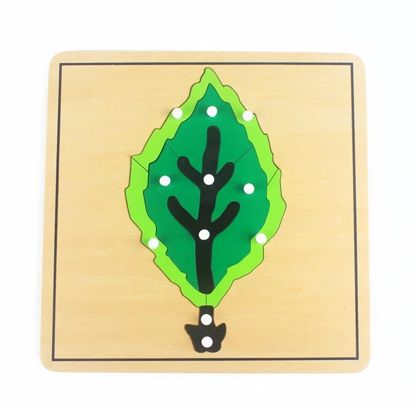 Montessori Wooden Life Cycle Puzzle – Plants & Animals Educational Toy