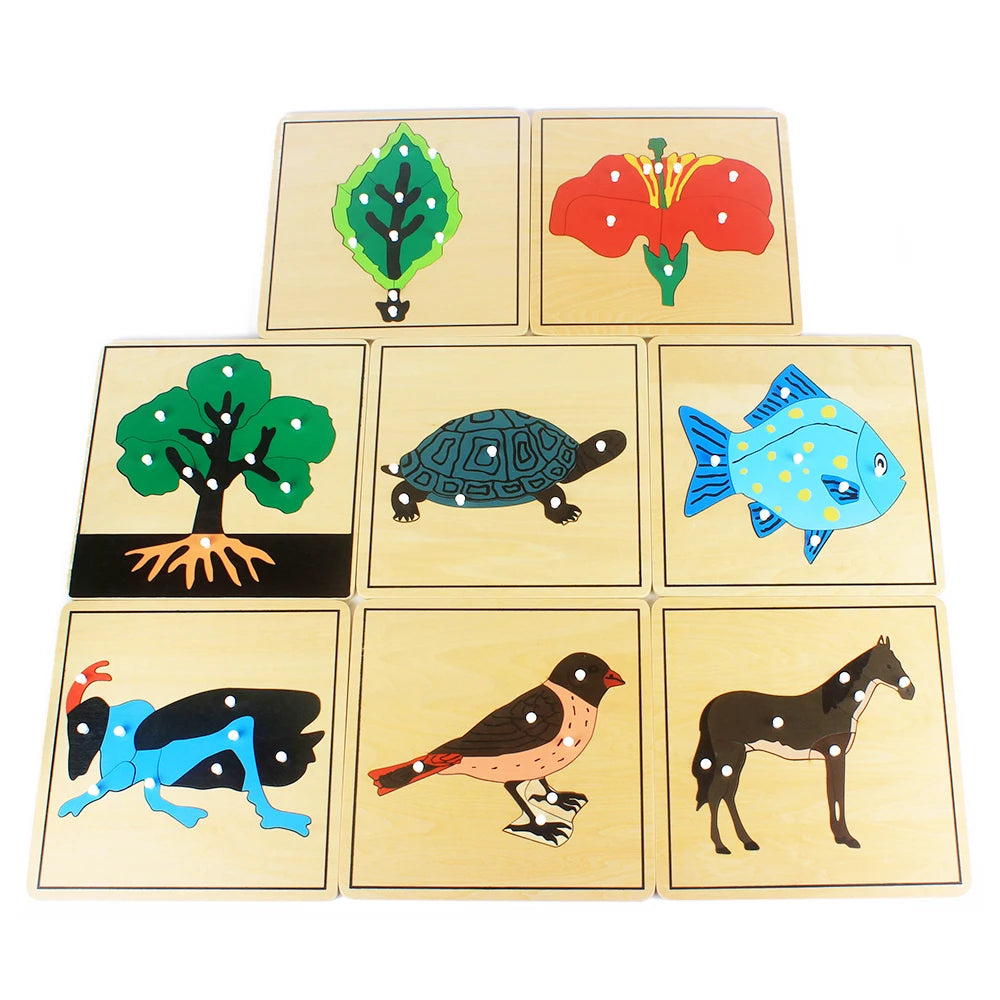 Montessori Wooden Life Cycle Puzzle – Plants & Animals Educational Toy