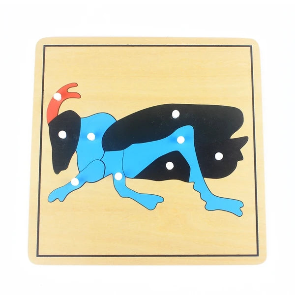 Montessori Wooden Life Cycle Puzzle – Plants & Animals Educational Toy