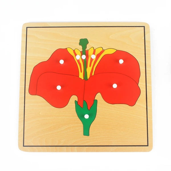 Montessori Wooden Life Cycle Puzzle – Plants & Animals Educational Toy